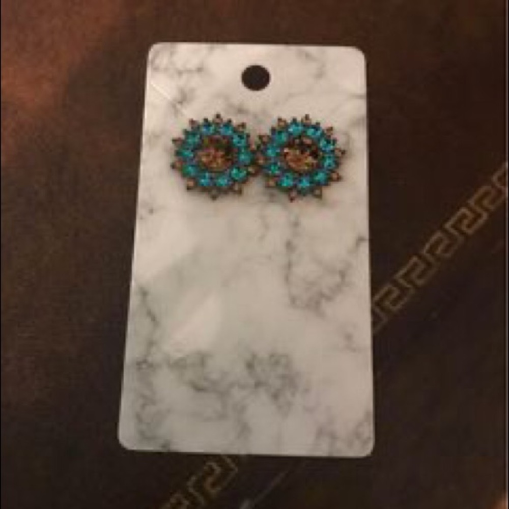 Charming Charlie Stud Earrings